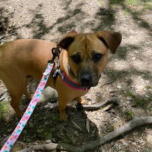 Meet your Posher, Dominique